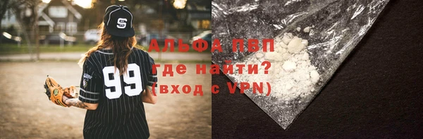 индика Белокуриха