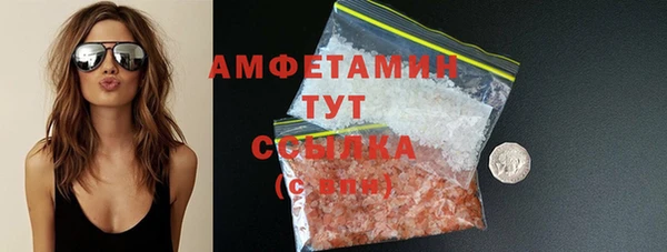 индика Белокуриха