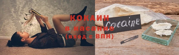 индика Белокуриха