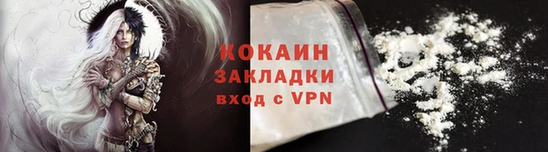 индика Белокуриха