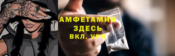 индика Белокуриха