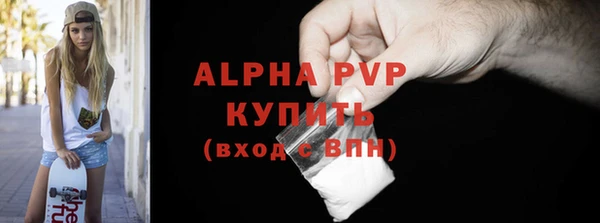 индика Белокуриха