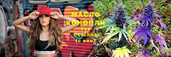 индика Белокуриха
