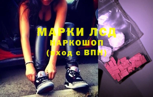 индика Белокуриха