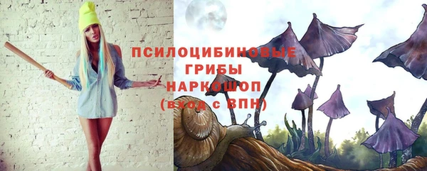 индика Белокуриха