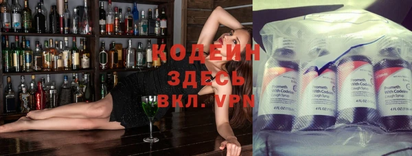 индика Белокуриха