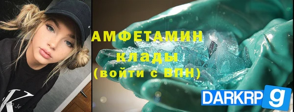 индика Белокуриха